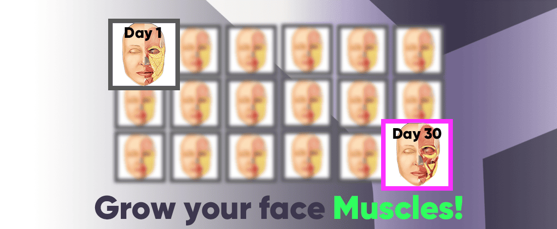 Growth of facial muscles in 30 days after face exercises