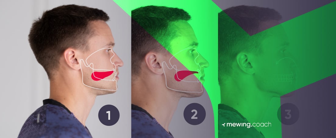 Mewing for Jawline: The Complete Guide for Exercises