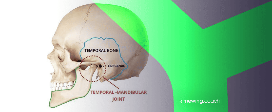 Does Mewing Work? Inside the Jaw Defining Craze - Utopia