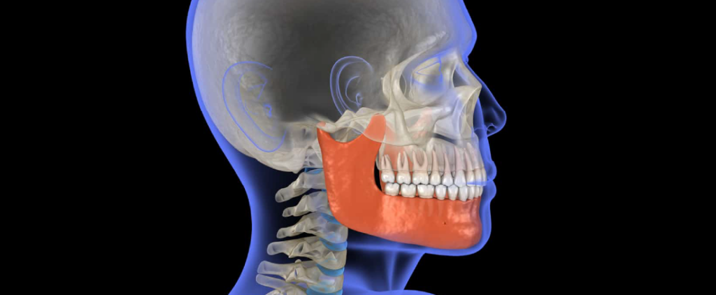 Jawline on Steroids: How Anabolics Affect Your Jaw Shape | Mewing.coach