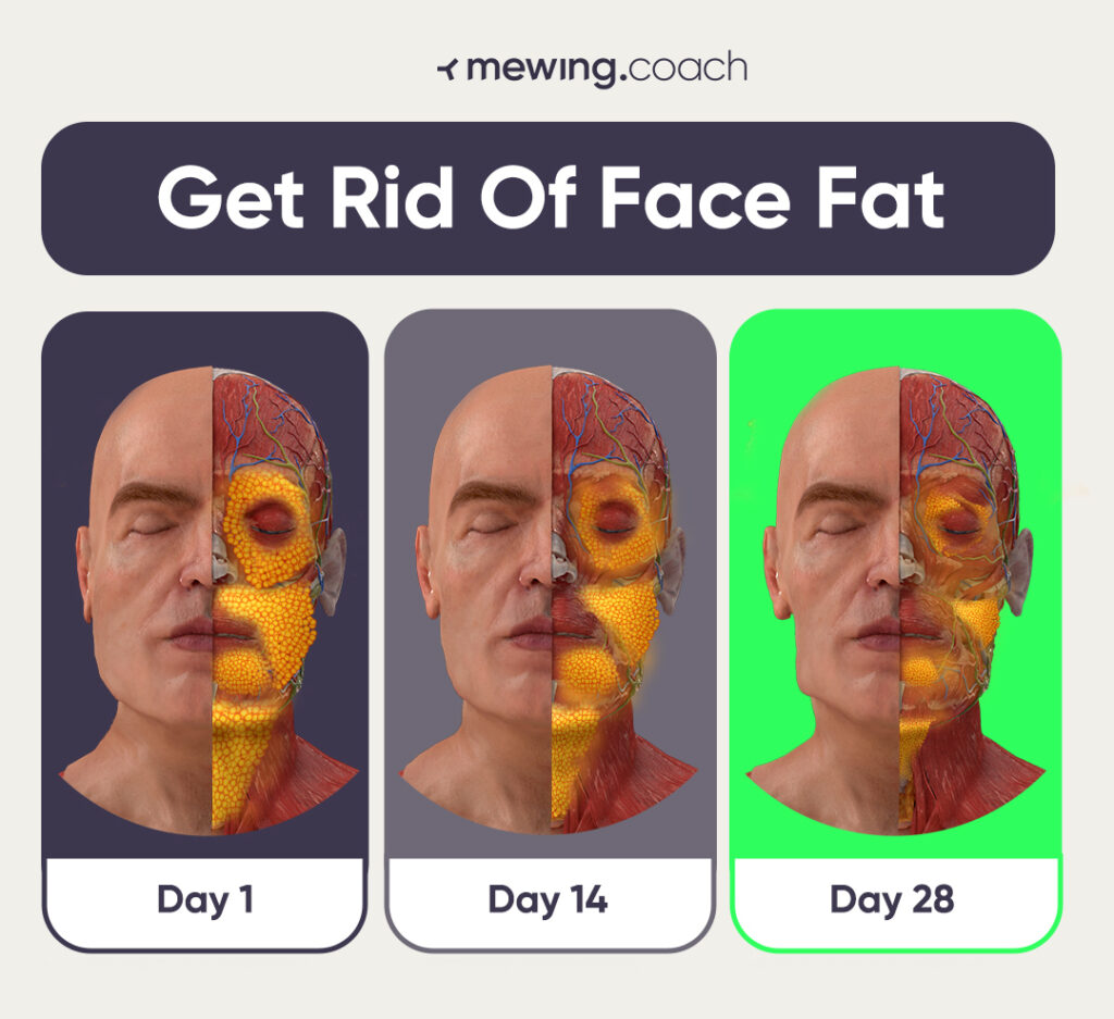 Fat Face Skinny Body The Ultimate Guide To Getting Rid Of Face Fat For Skinny People Mewing 