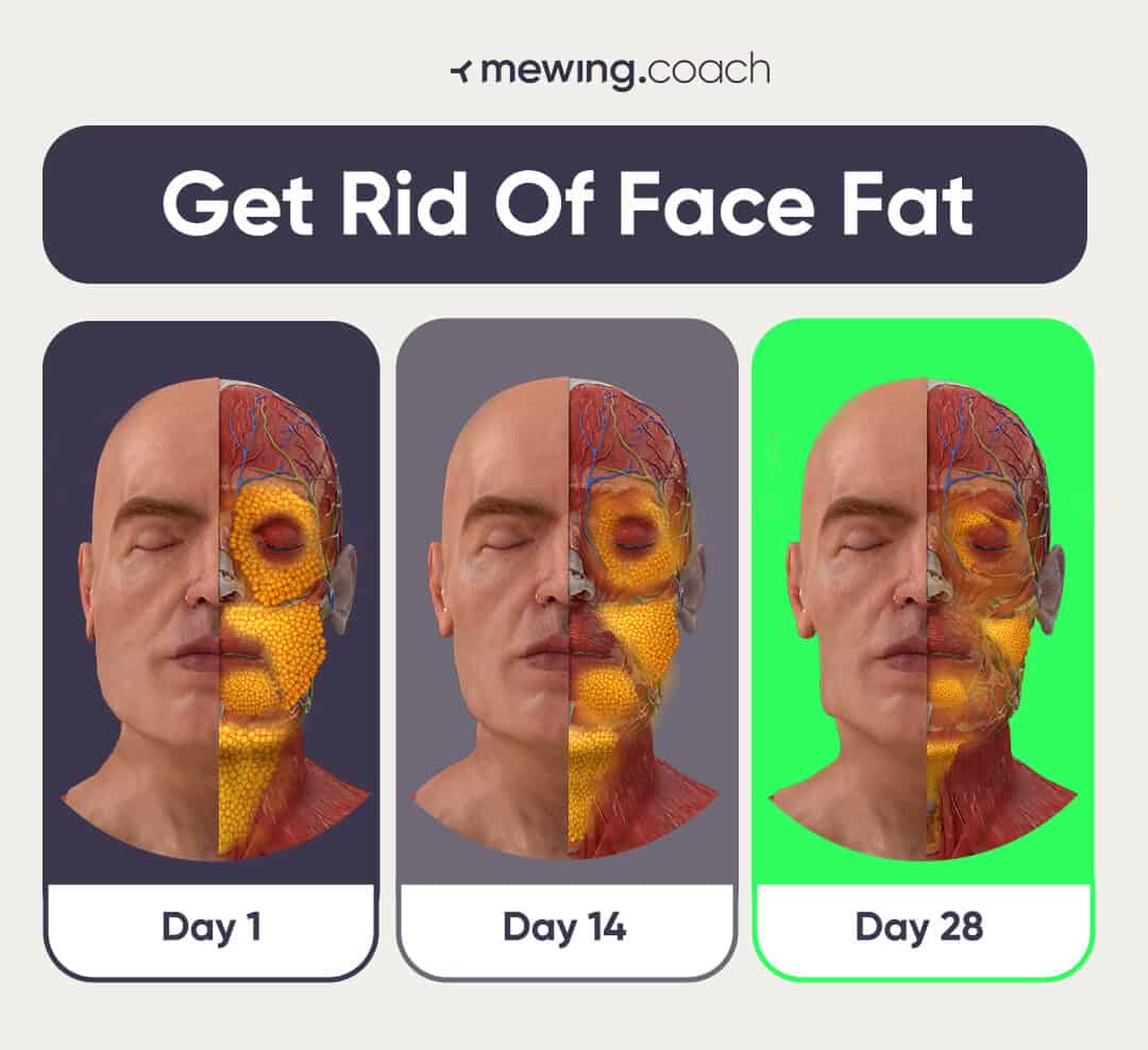 Get rid of face fat in 28 days