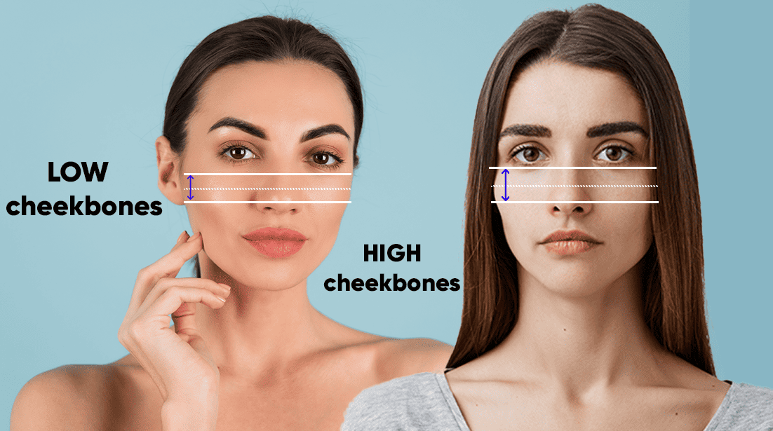 Low cheekbones and high cheekbones
