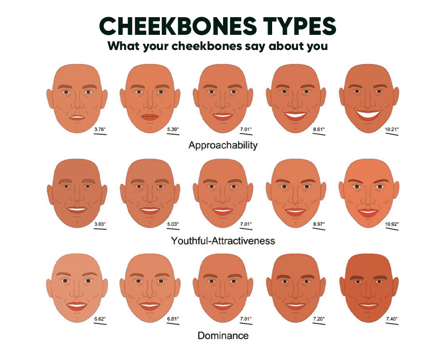 Types of cheekbones