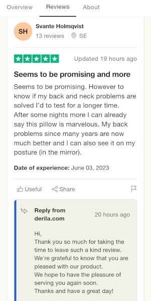 Derila pillow reviews Trustpilot