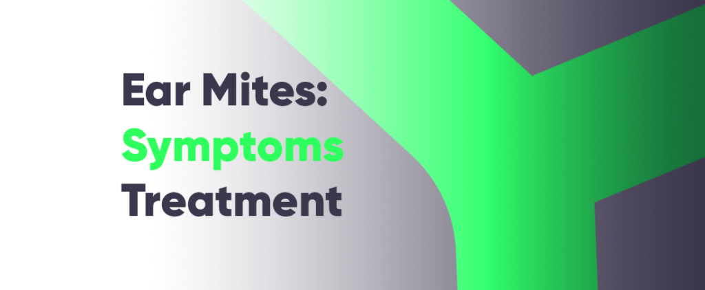 Ear Mites In Humans Symptoms Treatment And Prevention Strategies