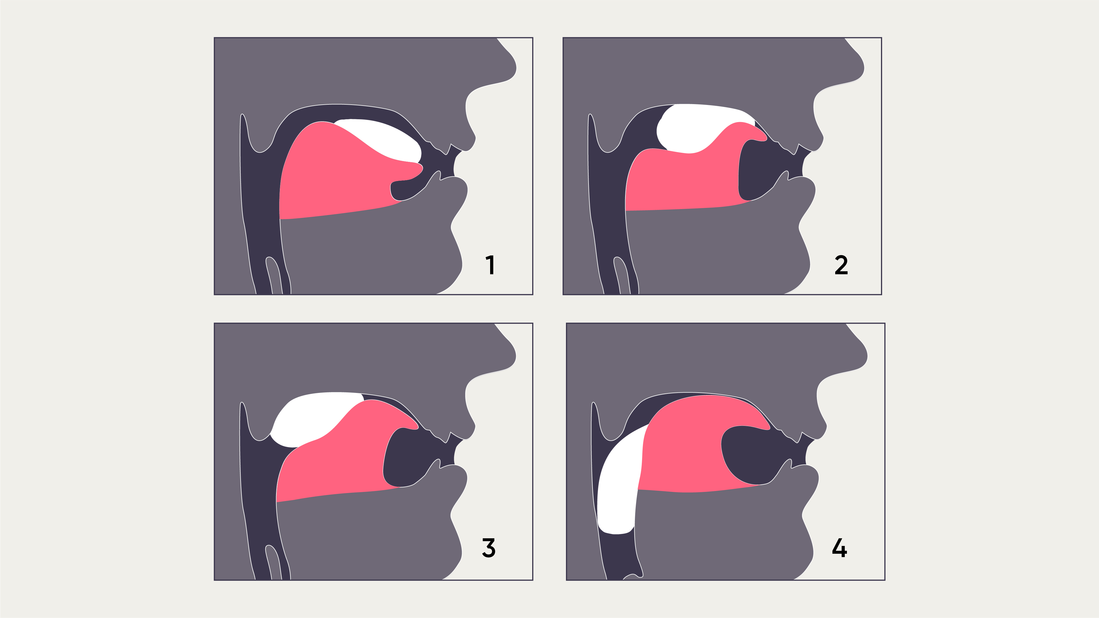 Mewing for Beginners Pt. 1 (How Tongue Posture Works) 