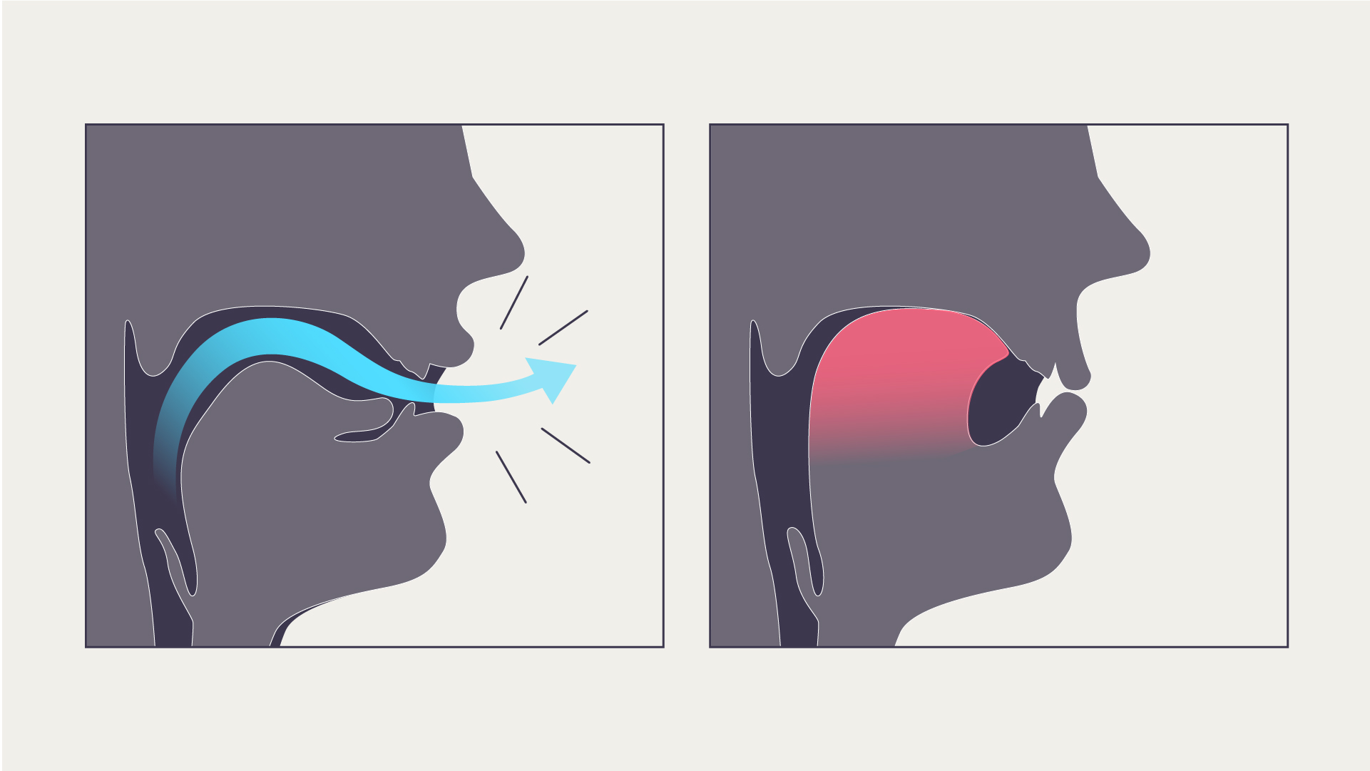 How To Mew Properly & What is Mewing: Tongue Posture For a Better Jawline  in 2023